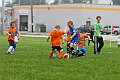 IMG_7917