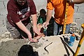 IMG_4944