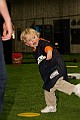 IMG_0181