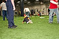 IMG_0207