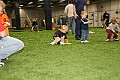 IMG_0212