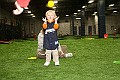 IMG_0404