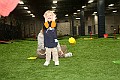 IMG_0405
