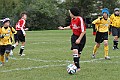 IMG_5229