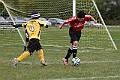 IMG_5262