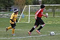 IMG_5265