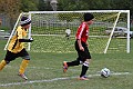 IMG_5266