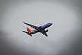 IMG_5289