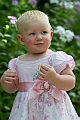 _MG_9525
