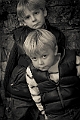 _MG_6619