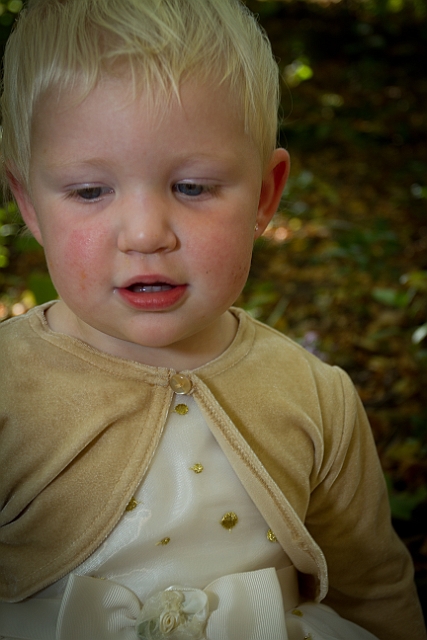 _MG_0622.jpg