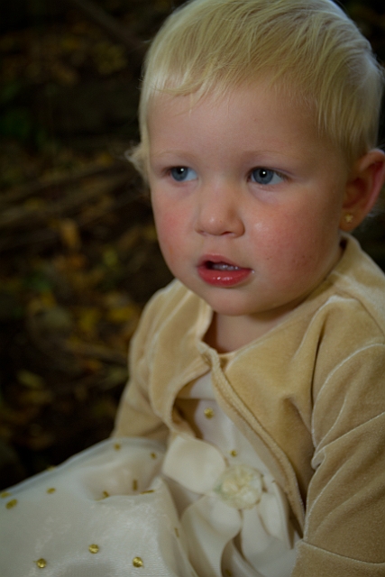 _MG_0726.jpg