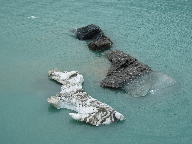 P1010093.jpg