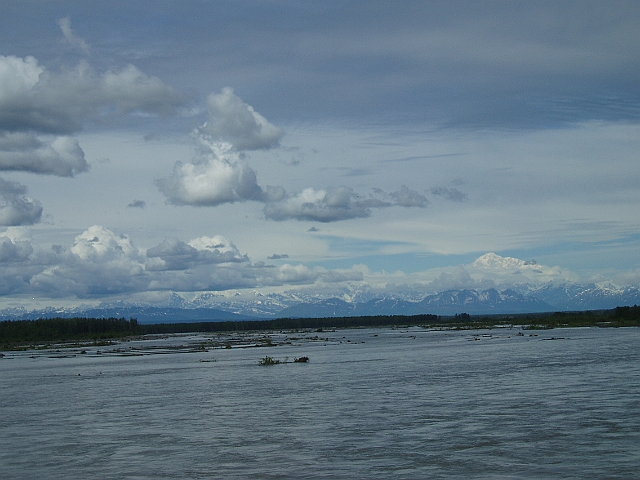 P1010201.jpg