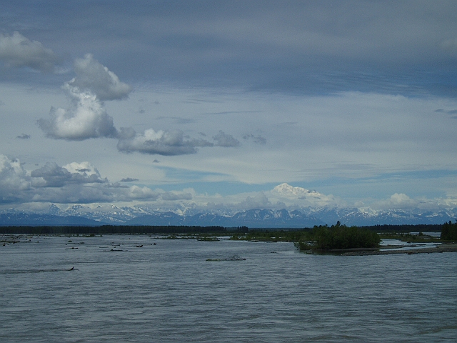 P1010202.jpg