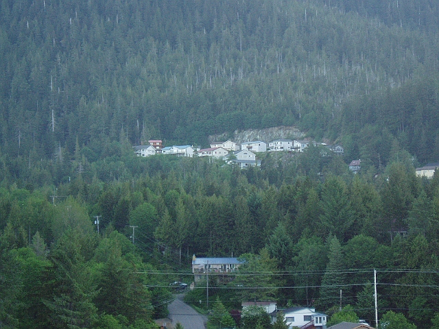 P6120019.jpg
