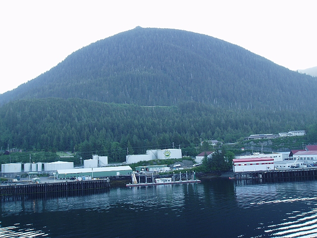 P6120023.jpg