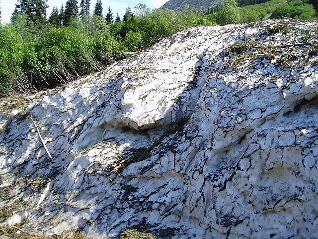 P6140050.jpg