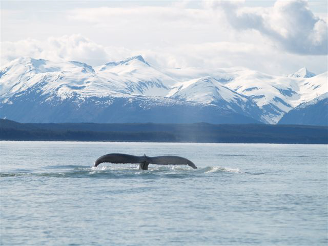 photo_tour_4 014.jpg