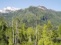 P6120026