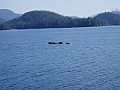 P6120054