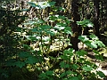 P6130084