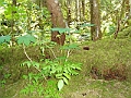 P6130085