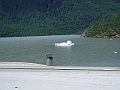 P6130096
