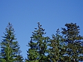 P6130134