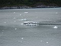 P6160167