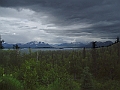 P6180238-Edit-2