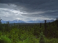 P6180238-Edit