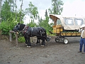 P6180239