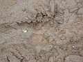 P6190263