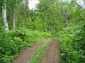 P6190264