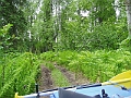 P6190265