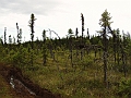 P6190266