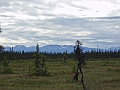 P6190268