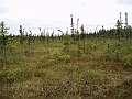 P6190271