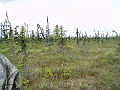 P6190272