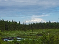 P6190275
