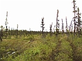 P6190277