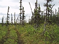 P6190278