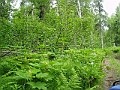 P6190280