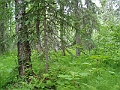 P6190281