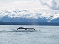 photo_tour_4 014