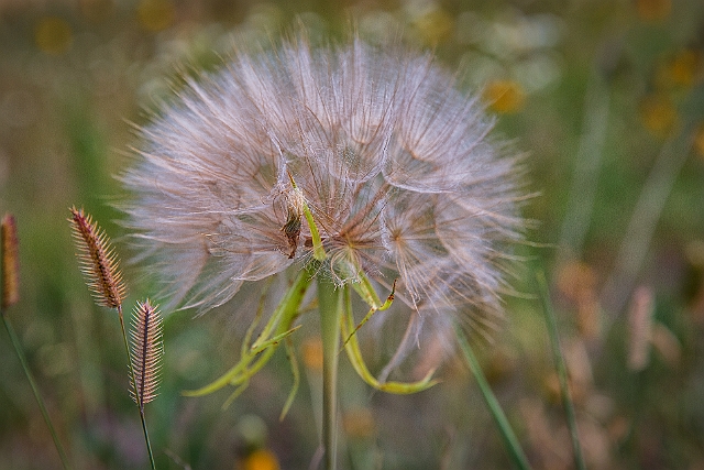 1G0A0575-HDR-Edit.jpg