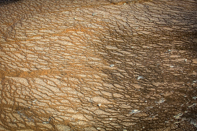 1G0A1384-HDR-Edit.jpg