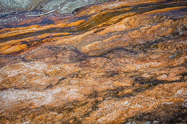 1G0A1404-HDR-Edit.jpg