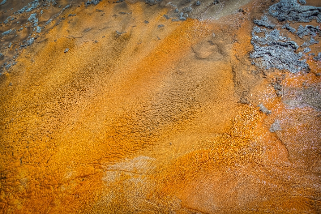 1G0A1556_57_58_59_60.jpg